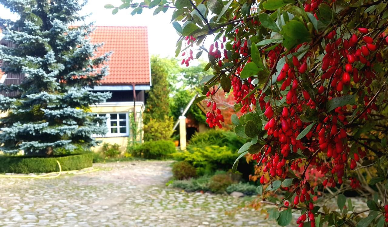 Виллы Reglówka Wola Krakowiańska-35